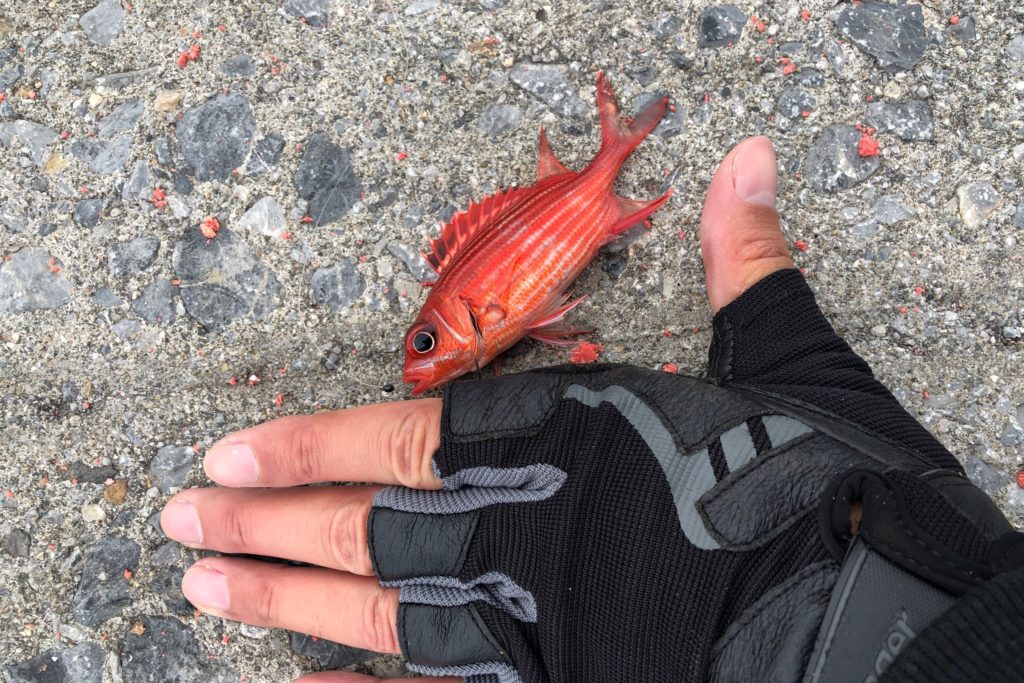 釣り用の手袋おすすめ5選！人気のフィッシンググローブはコレ！ | 海釣り初心者の入門ガイド
